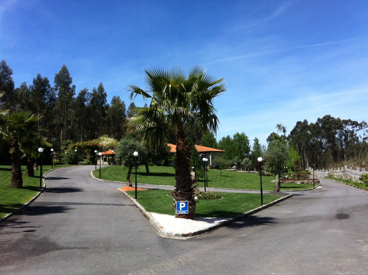 Perspectiva de entrada